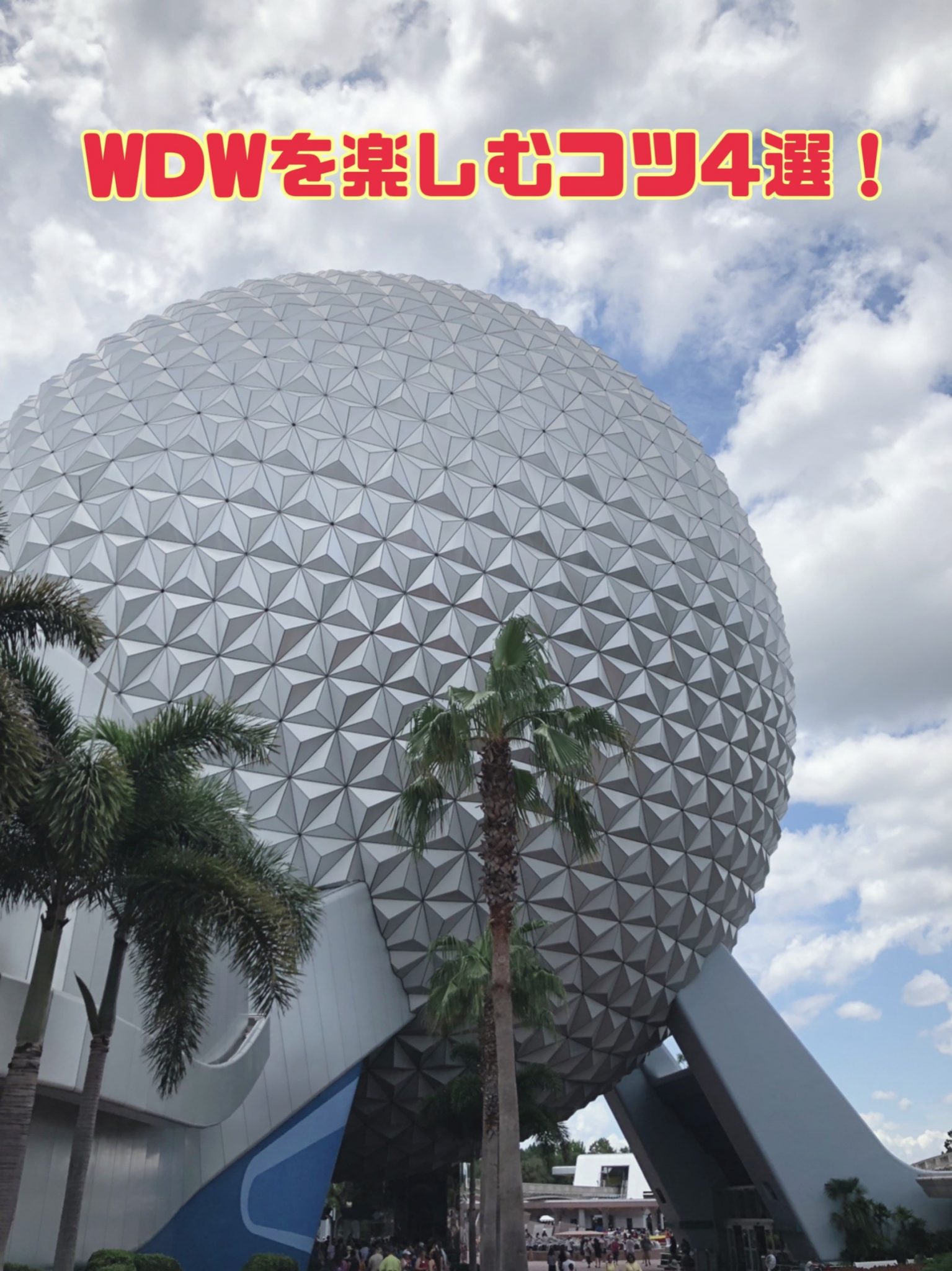 エプコットトップ画像