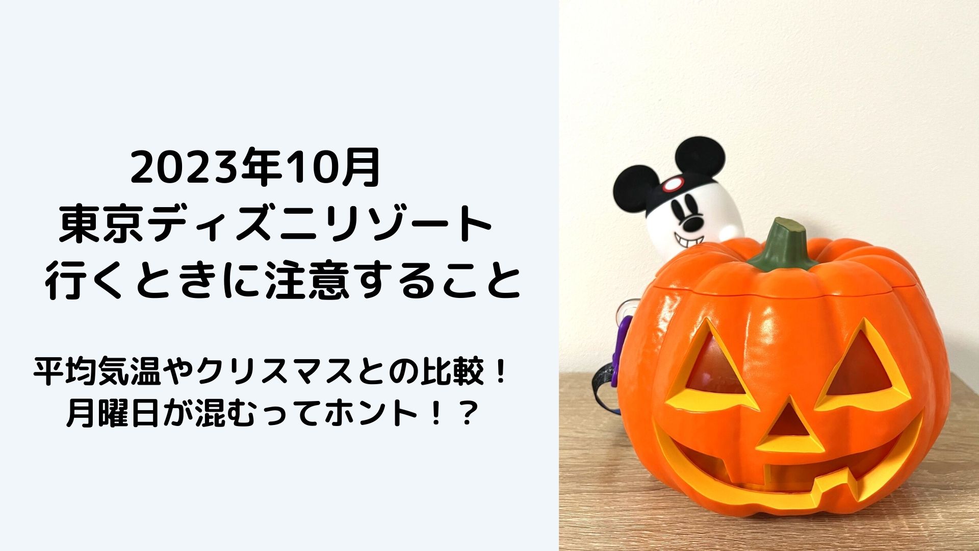 2023_10_アイキャッチ画像